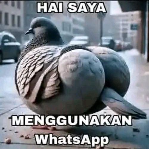 Sudah pasti logo Whatsapp